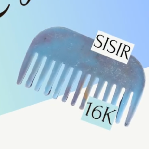 Sisir Recycle
